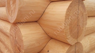 Дом 6×5 м в чашу, 30 м²